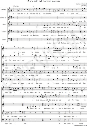 notAmos Performing Editions score preview