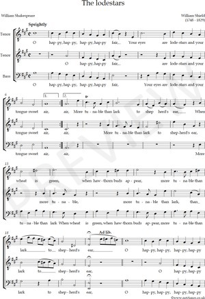 notAmos Performing Editions score preview