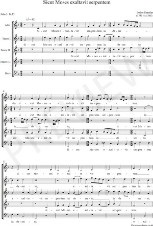 notAmos Performing Editions score preview