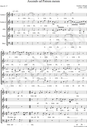 notAmos Performing Editions score preview