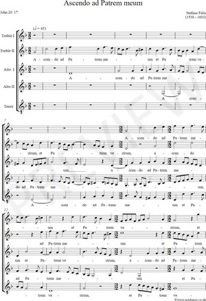 notAmos Performing Editions score preview